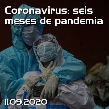 Coronavirus: seis meses de pandemia