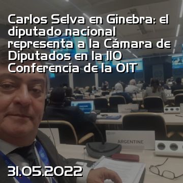 Carlos Selva en Ginebra: el diputado nacional representa a la Cámara de Diputados en la 110 Conferencia de la OIT