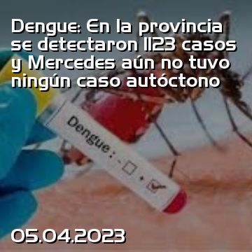 Dengue: En la provincia se detectaron 1123 casos y Mercedes aún no tuvo ningún caso autóctono