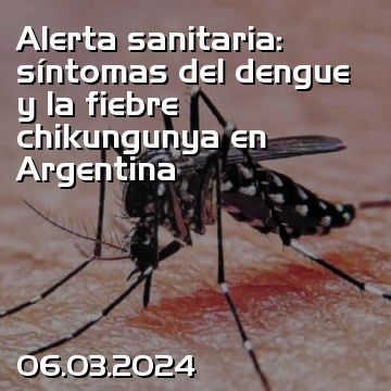 Alerta sanitaria: síntomas del dengue y la fiebre chikungunya en Argentina