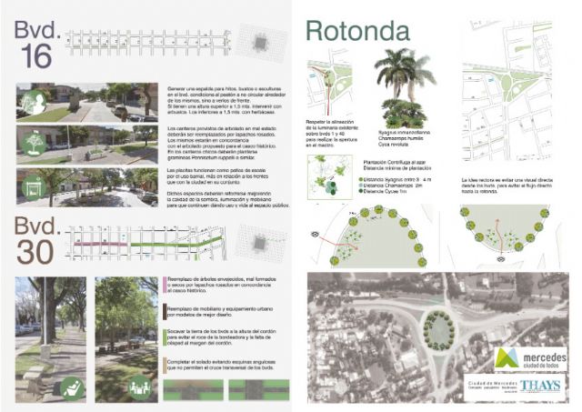 Junto a Estudio Thays el Municipio inicia ambicioso proyecto de embellecimiento y paisajismo urbano