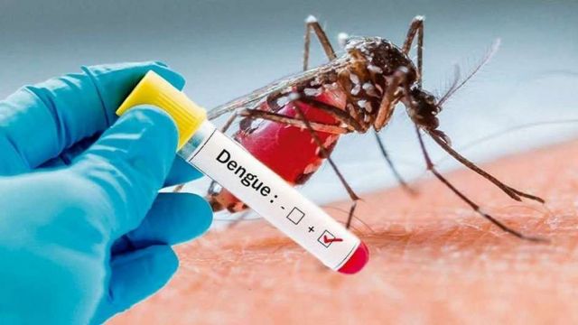 El Municipio refuerza sus acciones contra el dengue