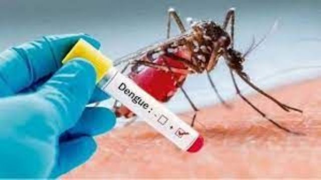 Dengue: En la provincia se detectaron 1123 casos y Mercedes aún no tuvo ningún caso autóctono