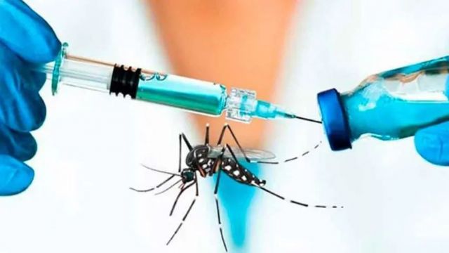 Proponen ley para hacer obligatoria y gratuita la vacuna contra el dengue