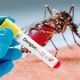 El Municipio refuerza sus acciones contra el dengue