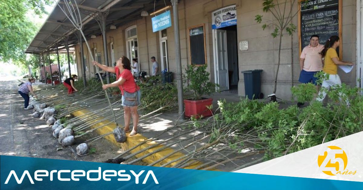 El municipio creará un Banco de Semillas de Especies Nativas
