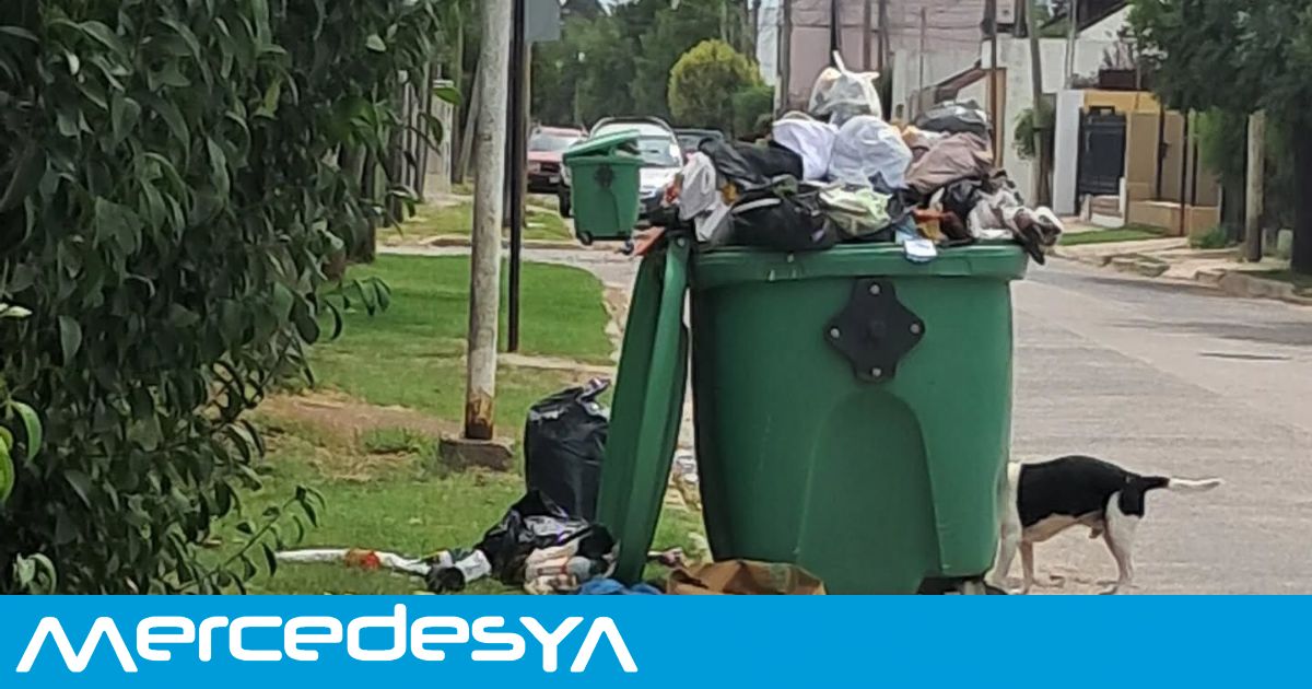 Pagan limpieza pero limpian ellos: crecen los reclamos por basura y ...