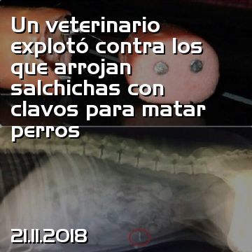 Un veterinario explotó contra los que arrojan salchichas con clavos para matar perros