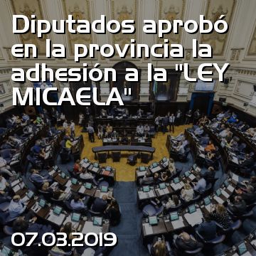 Diputados aprobó en la provincia la adhesión a la “LEY MICAELA”