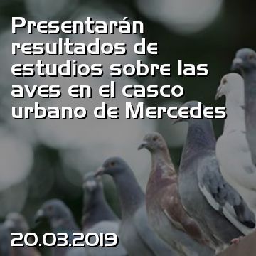 Presentarán resultados de estudios sobre las aves en el casco urbano de Mercedes