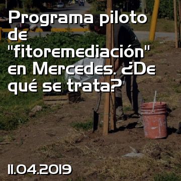 Programa piloto de “fitoremediación” en Mercedes. ¿De qué se trata?