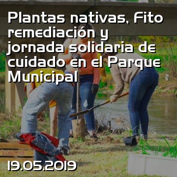 Plantas nativas, Fito remediación y jornada solidaria de cuidado en el Parque Municipal