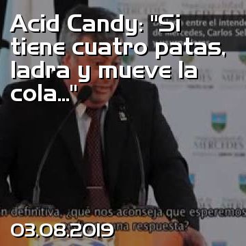 Acid Candy: “Si tiene cuatro patas, ladra y mueve la cola...”