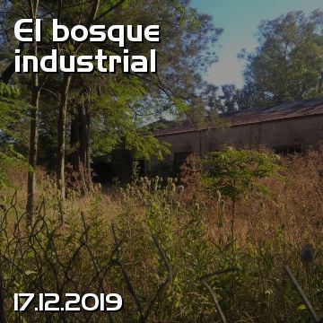El bosque industrial