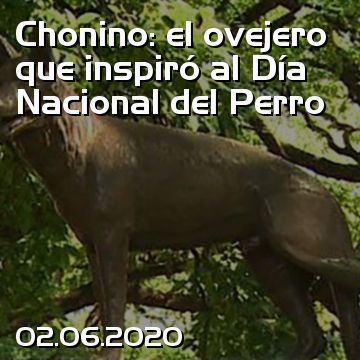 Chonino: el ovejero que inspiró al Día Nacional del Perro