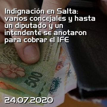 Indignación en Salta: varios concejales y hasta un diputado y un intendente se anotaron para cobrar el IFE