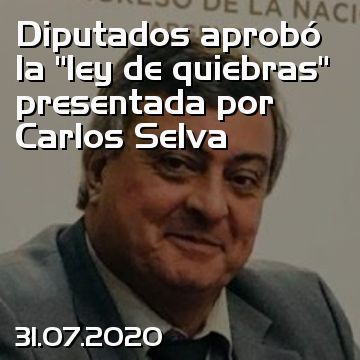 Diputados aprobó la “ley de quiebras” presentada por Carlos Selva