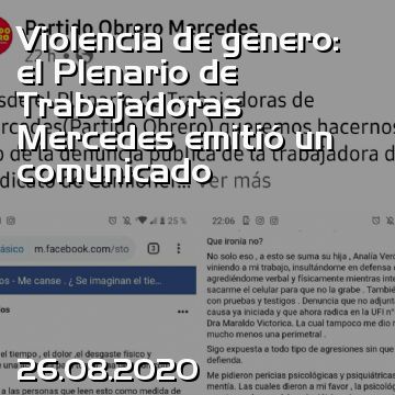 Violencia de genero: el Plenario de Trabajadoras Mercedes emitió un comunicado