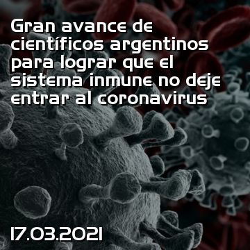 Grande avanço dos cientistas argentinos para impedir o sistema imunitário de deixar entrar o coronavírus