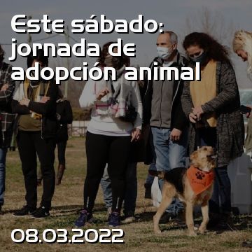 Este sábado: jornada de adopción animal
