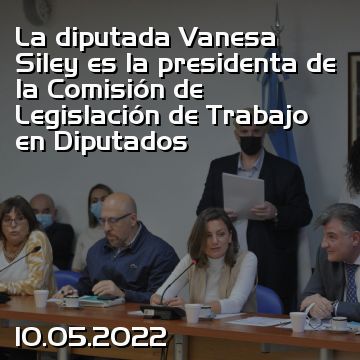 La diputada Vanesa Siley es la presidenta de la Comisión de Legislación de Trabajo en Diputados
