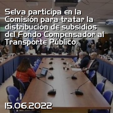 Selva participa en la Comisión para tratar la distribución de subsidios del Fondo Compensador al Transporte Público.