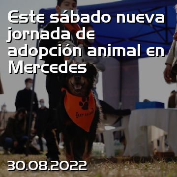 Este sábado nueva jornada de adopción animal en Mercedes