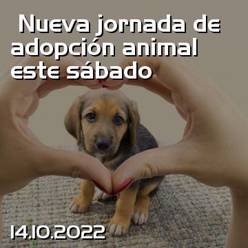 Nueva jornada de adopción animal este sábado