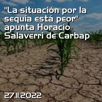 “La situación por la sequía está peor” apunta Horacio Salaverri de Carbap