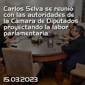 Carlos Selva se reunió con las autoridades de la Cámara de Diputados proyectando la labor parlamentaria