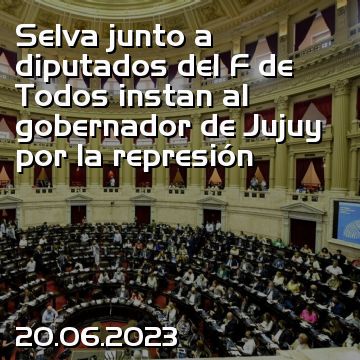 Selva junto a diputados del F de Todos instan al gobernador de Jujuy por la represión