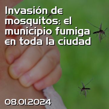 Invasión de mosquitos: el municipio fumiga en toda la ciudad