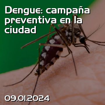 Dengue: campaña preventiva en la ciudad