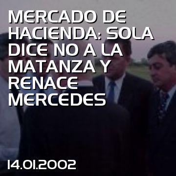 MERCADO DE HACIENDA: SOLA DICE NO A LA MATANZA Y RENACE MERCEDES