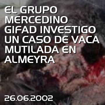 EL GRUPO MERCEDINO GIFAD INVESTIGO UN CASO DE VACA MUTILADA EN ALMEYRA