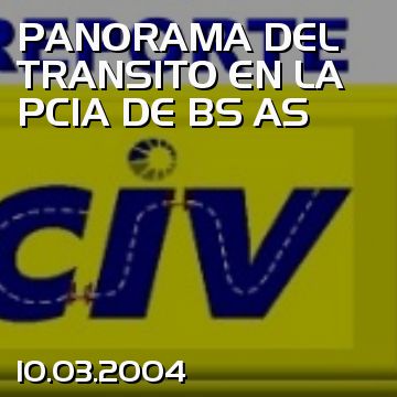 PANORAMA DEL TRANSITO EN LA PCIA DE BS AS