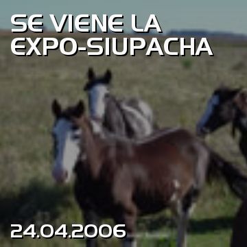 SE VIENE LA EXPO-SIUPACHA