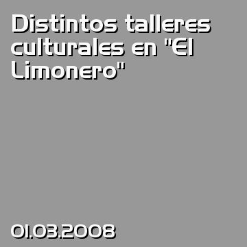 Distintos talleres culturales en “El Limonero”