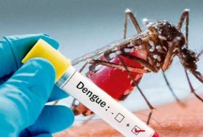 Dengue: confirman un caso autóctono en Mercedes