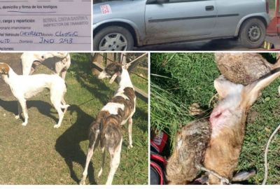 Cerca de la Estancia San Agustín: policía interviene tras detectar cazadores furtivos sobre la Ruta 41.