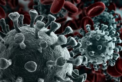 Coronavirus: la inmunidad podría durar meses o incluso años tras una primera infección