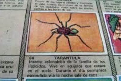 Son más difíciles de encontrar que la Tarántula de los años 80