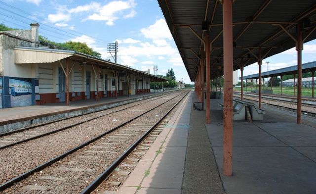 Preocupa la presencia de ratas en la placita de la estación de trenes del Sarmiento