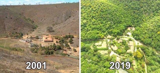 Pareja brasileña plantó 2.000.000 de árboles en 20 años restaurando todo un hábitat