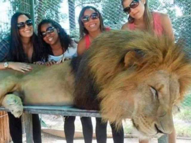 Zoo de Luján: La Defensoría exigió la reconversión