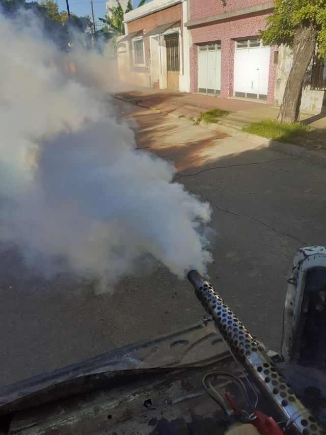 El municipio se encuentra fumigando las calles de la ciudad contra el dengue