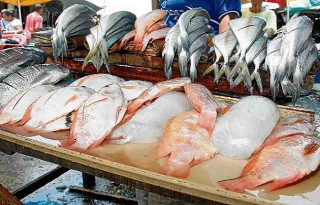 Semana Santa: los cuidados que hay que tener al consumir pescado