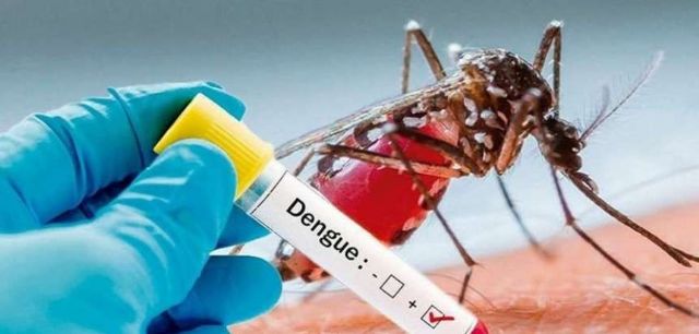 Dengue: confirman un caso autóctono en Mercedes