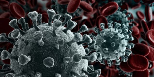 Gran avance de científicos argentinos para lograr que el sistema inmune no deje entrar al coronavirus