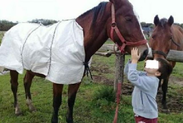 La angustia de un nene que le acaban de robar su caballo